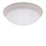 AMIRA ll 326 LED